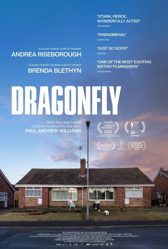 危情蜻蜓