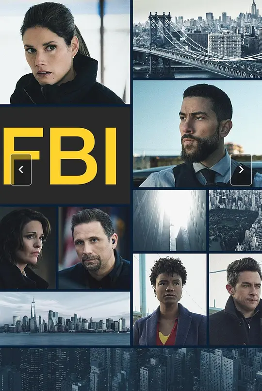 联邦调查局第九季